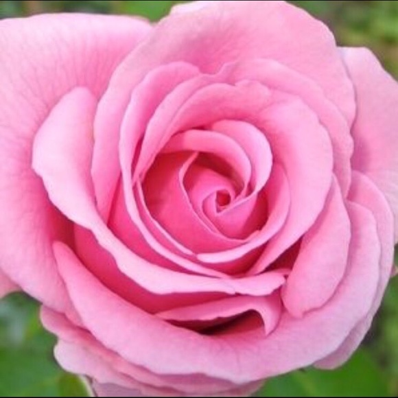 Bookmark Me! - Picture 5 of 8